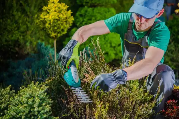 landscaping services University City